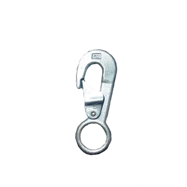 Hook with eye and latch